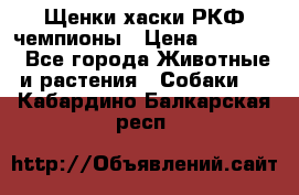 Щенки хаски РКФ чемпионы › Цена ­ 90 000 - Все города Животные и растения » Собаки   . Кабардино-Балкарская респ.